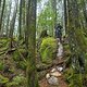 BC Squamish - Souerkraut