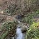 IMG 5952