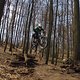 Because Downhill is more than a sport !