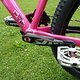 Canyon 2009 4X Prototype pink/red/black