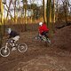 Prinzenpark 22