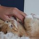 IMG 3568