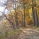 DSC00786