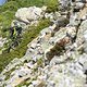 Ben Cruz fährt einen 9ten Platz beim Valloire Enduro-Rennen ein.