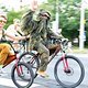 CriticalMass 1407 1738b