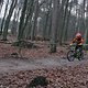 IMG 1167