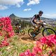 Urs Huber and Simon Schneller of BULLS during the Prologue of the 2021 Absa Cape Epic Mountain Bike stage race held at The University of Cape Town, Cape Town, South Africa on the 17th October 2021

Photo by Sam Clark/Cape Epic

PLEASE ENSURE THE APPR