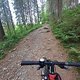 Wander und E-Bike Trail bei Wildemann