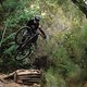 specialized-stumpjumper-action-4798