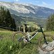 IMG 3996
