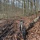4 Runden Neumühler