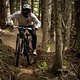 Hydra 2 - Marcel Hunt - GIF sequence  pc @rileyseebeck 6