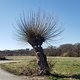 Au boulot à vélo - Offenbach - Rödelheim, Lachegraben und Jacobiweiher