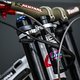 Außerdem sind alle Teamfahrer mit einem CounterShox-Massedämpfer unterwegs.