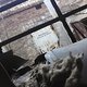 CAM00391