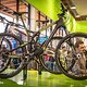 Cannondale Trigger Carbon 1 - das Topmodell