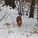 IMG 2658