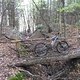SDC18606 kl