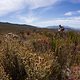 weiter geht es durch das Groenlandberg Naturschutzgebiet - Foto von Karin Schermbrucker-Cape Epic-SPORTZPICS