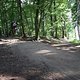IMG 1417