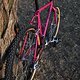 Ritchey Ultra out 08