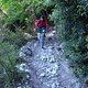 DSC09520