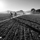 Riders during the Prologue of the 2017 Absa Cape Epic Mountain Bike stage race held at Meerendal Wine Estate in Durbanville, South Africa on the 19th March 2017

Photo by Sam Clark/Cape Epic/SPORTZPICS

PLEASE ENSURE THE APPROPRIATE CREDIT IS GIV