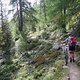 IMG 0698