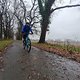 Mountainbike-Fahrt am Morgen..Schmuddelrunde im Geisterholz(Oelde)...🚴‍♂️👀
