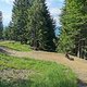 IMG 20240615 170851