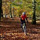 Herbstliche Ausfahrt