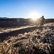 JamesStokoePhoto HUNT9051
