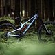 Sender-Wald-2838