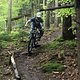 Woods...