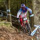 Aaron Gwin