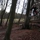 IMG 2080