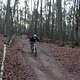 IMG 1334