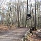 IMG 1564
