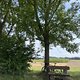 IMG 1926