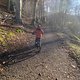 Advent Runde mit dem Minion