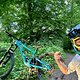 IMG 7897
