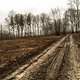 Nachhaltige Forstwirtschaft? Das war einmal ein Teil des Hermannswegs