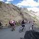 IMG 2600