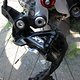 IMG 1901
