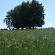 DSCF6465