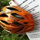 Helm