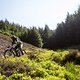 Im Rennen setzte Anita lieber auf einen Fullface-Helm, das Rendez-vous mit einem Baum gab ihr Recht dabei