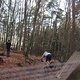 IMG 1208
