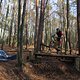 IMG 1888