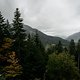 Leogang-WM-Trackwalk-5746